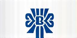 شعار National Bank of Oman